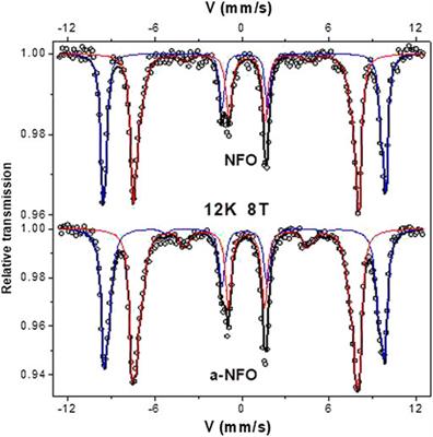 Polyol-Made Spinel Ferrite Nanoparticles—Local Structure and Operating Conditions: NiFe2O4 as a Case Study